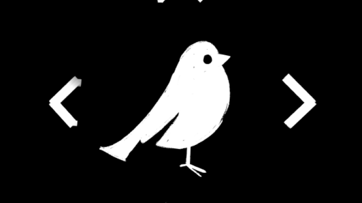 Silent Sparrows Logo