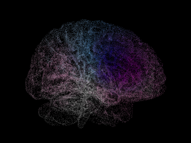 Dots showing the heatmap of brain activity